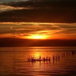 Meet your Posher, Betty ann